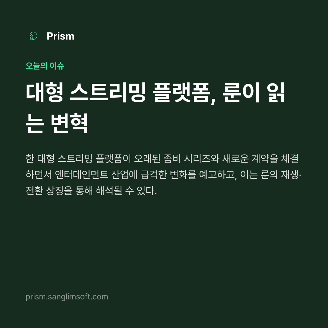 대형 스트리밍 플랫폼, 룬이 읽는 변혁